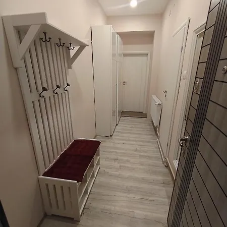 Lovely In The Heart Of The * Timişoara