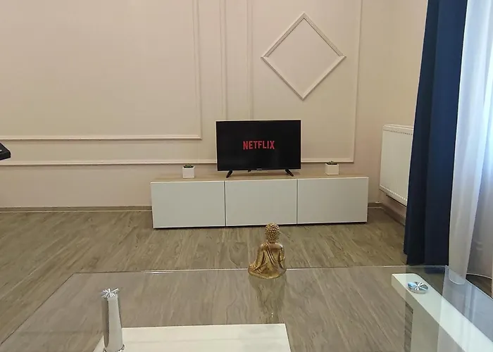 Lovely In The Heart Of The Timişoara