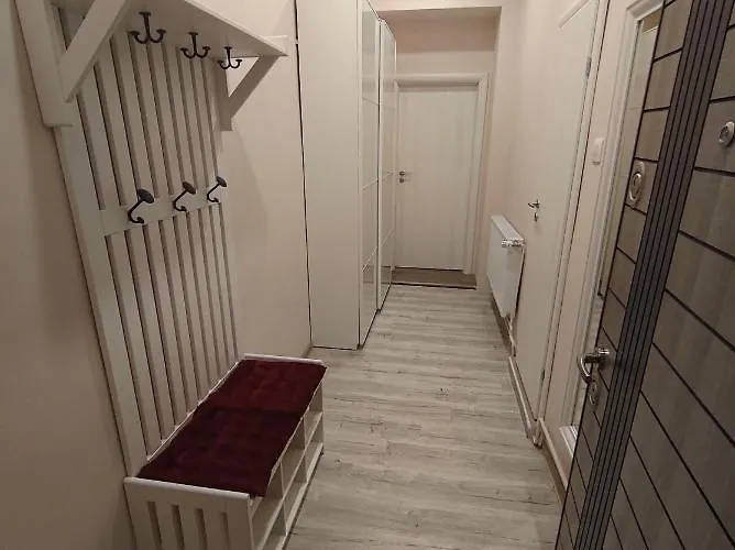 Lovely In The Heart Of The * Timişoara